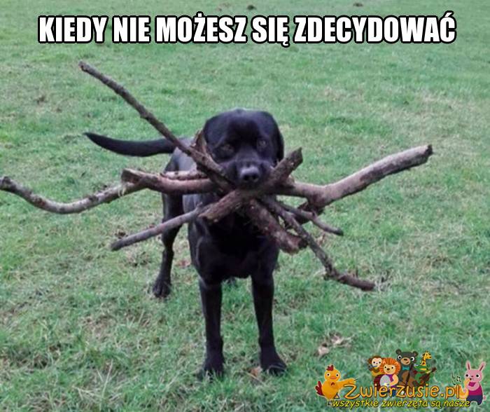 Kiedy nie możesz się zdecydować