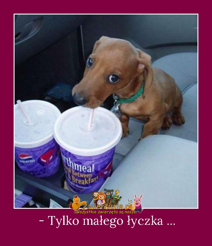 - Tylko małego łyczka ...