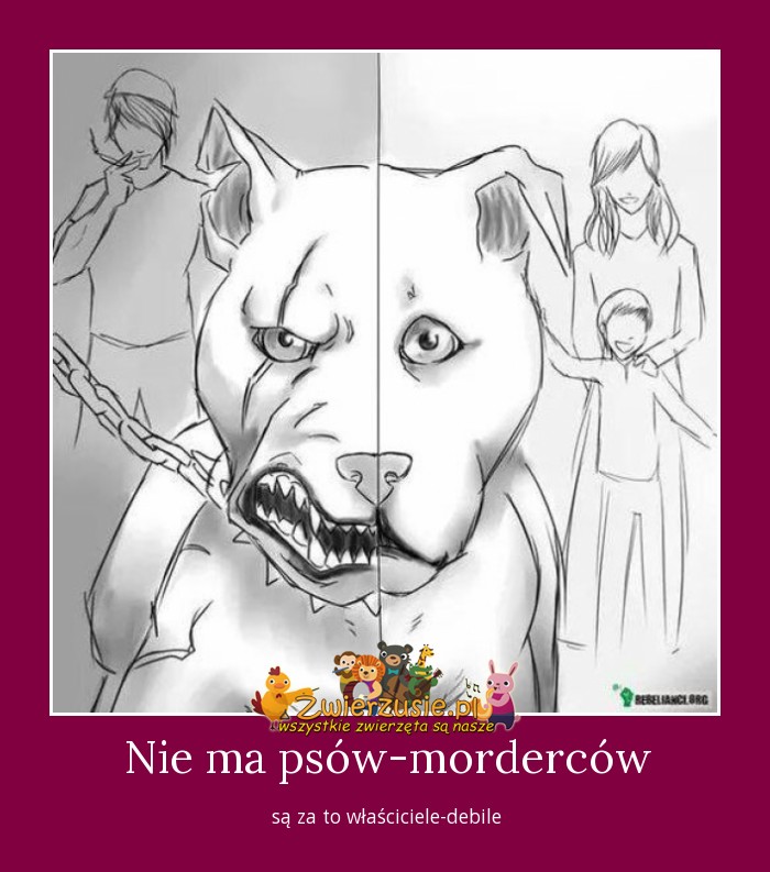 Nie ma psów-morderców