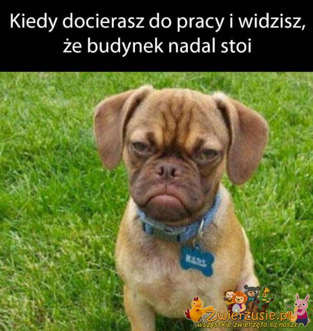 Kiedy docierasz do pracy