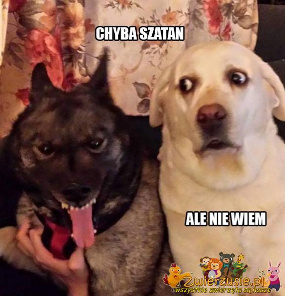 Chyba szatan