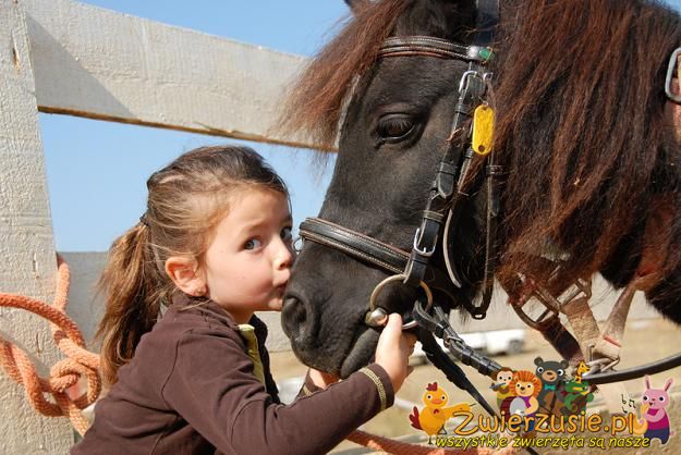 Koń z dzieckiem