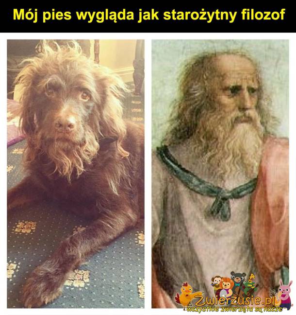 Starożytny filozof